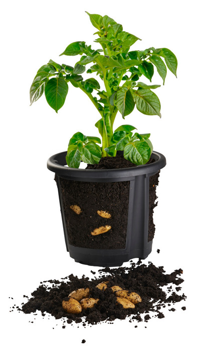 Kartoffelpot - H29,5 x Ø25,5 cm